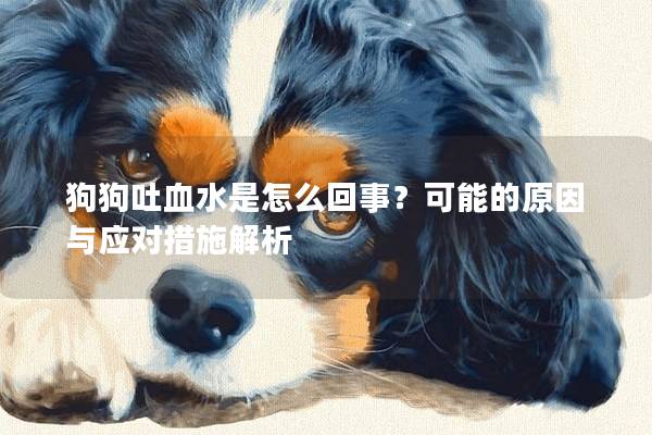 狗狗吐血水是怎么回事?可能的原因與應對措施解析 狗狗吐血水是怎么回事?可能的原因與應對措施解析