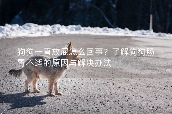 狗狗一直放屁怎么回事？了解狗狗腸胃不適的原因與解決辦法