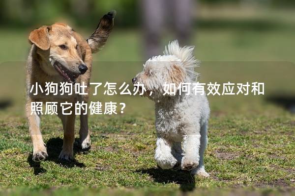 小狗狗吐了怎么辦，如何有效應對和照顧它的健康？