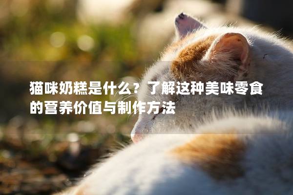 貓咪奶糕是什么？了解這種美味零食的營養價值與制作方法