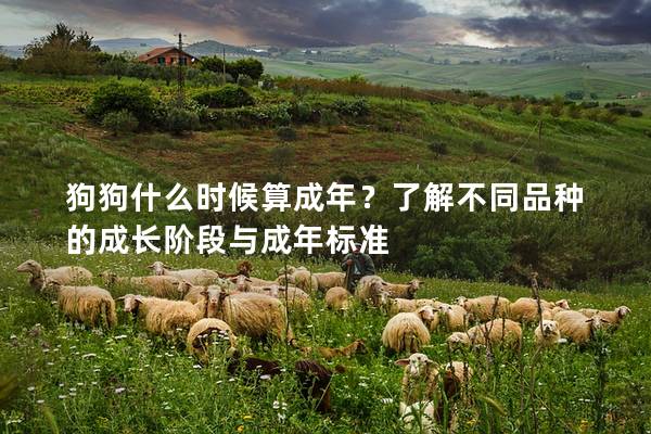 狗狗什么時(shí)候算成年?了解不同品種的成長(zhǎng)階段與成年標(biāo)準(zhǔn) 狗狗什么時(shí)候算成年?了解不同品種的成長(zhǎng)階段與成年標(biāo)準(zhǔn)