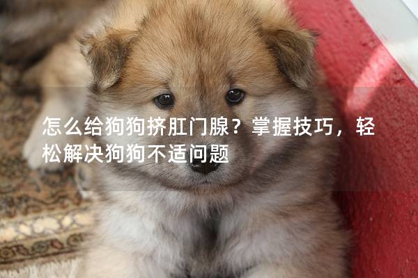 怎么給狗狗擠肛門腺？掌握技巧，輕松解決狗狗不適問題