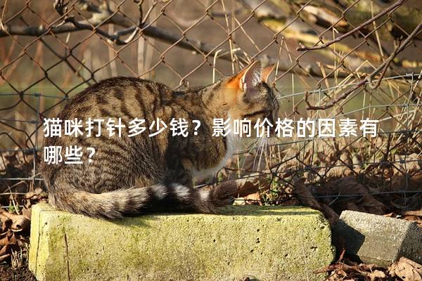 貓咪打針多少錢?影響價格的因素有哪些? 貓咪打針多少錢?影響價格的因素有哪些?