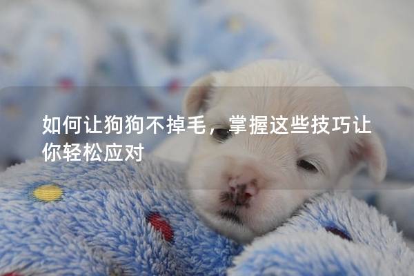 如何讓狗狗不掉毛，掌握這些技巧讓你輕松應(yīng)對