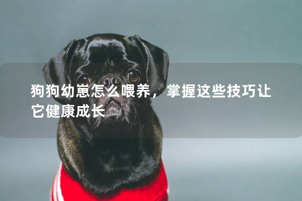狗狗幼崽怎么喂養,掌握這些技巧讓它健康成長 狗狗幼崽怎么喂養,掌握這些技巧讓它健康成長