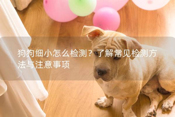 狗狗細小怎么檢測？了解常見檢測方法與注意事項