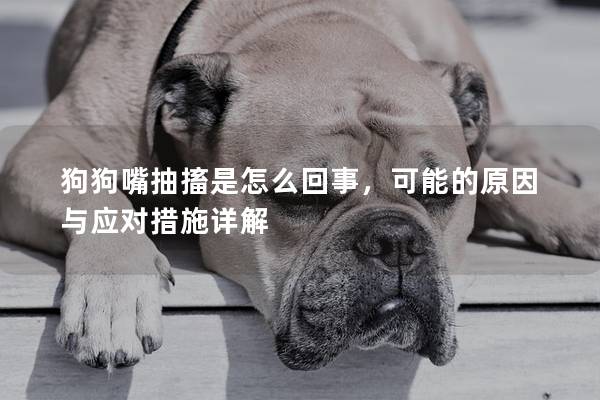 狗狗嘴抽搐是怎么回事,可能的原因與應對措施詳解