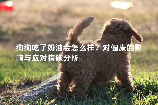 狗狗吃了奶油會怎么樣？對健康的影響與應(yīng)對措施分析