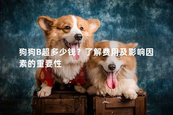 狗狗B超多少錢?了解費用及影響因素的重要性 狗狗B超多少錢?了解費用及影響因素的重要性