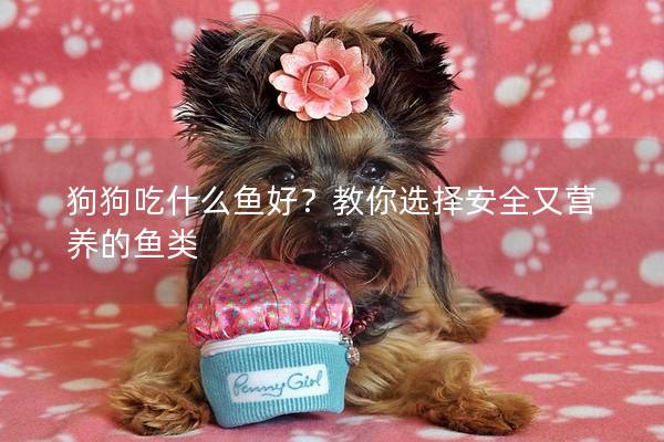 狗狗吃什么魚好?教你選擇安全又營養的魚類 狗狗吃什么魚好?教你選擇安全又營養的魚類