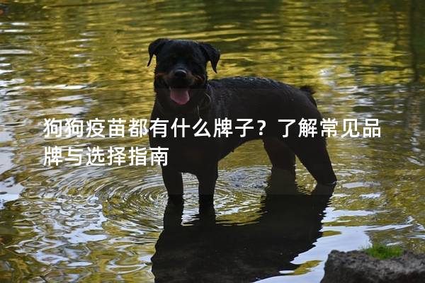 狗狗疫苗都有什么牌子？了解常見品牌與選擇指南