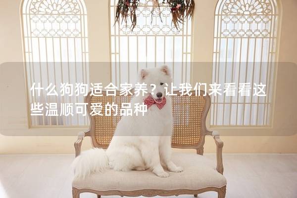 什么狗狗適合家養？讓我們來看看這些溫順可愛的品種