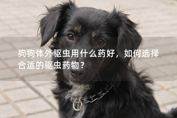 狗狗體外驅蟲用什么藥好，如何選擇合適的驅蟲藥物？