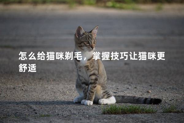 怎么給貓咪剃毛,掌握技巧讓貓咪更舒適 怎么給貓咪剃毛,掌握技巧讓貓咪更舒適