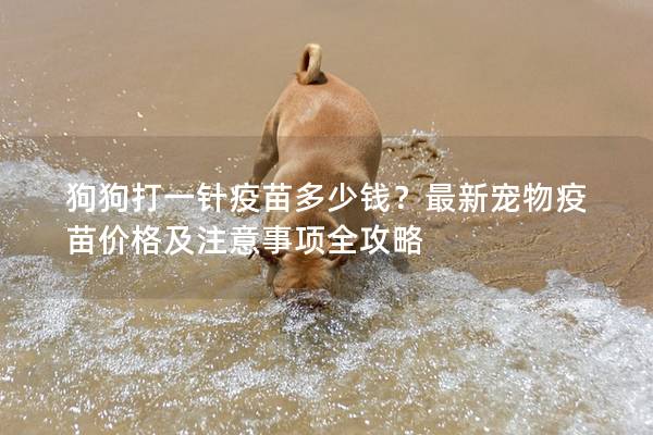 狗狗打一針疫苗多少錢？最新寵物疫苗價格及注意事項(xiàng)全攻略