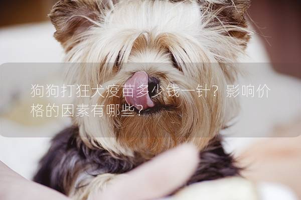 狗狗打狂犬疫苗多少錢一針？影響價格的因素有哪些？