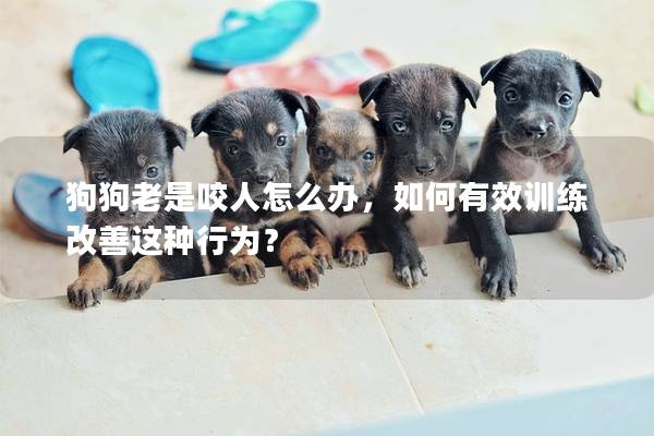 狗狗老是咬人怎么辦,如何有效訓(xùn)練改善這種行為? 狗狗老是咬人怎么辦,如何有效訓(xùn)練改善這種行為?