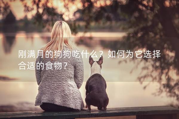 剛滿月的狗狗吃什么？如何為它選擇合適的食物？