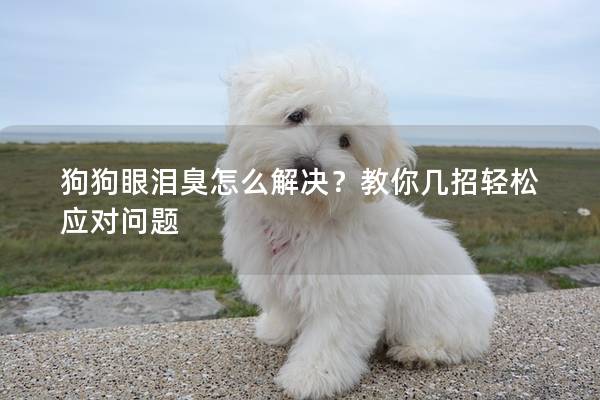 狗狗眼淚臭怎么解決？教你幾招輕松應對問題