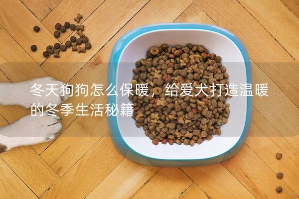 冬天狗狗怎么保暖，給愛犬打造溫暖的冬季生活秘籍