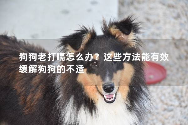 狗狗老打嗝怎么辦？這些方法能有效緩解狗狗的不適