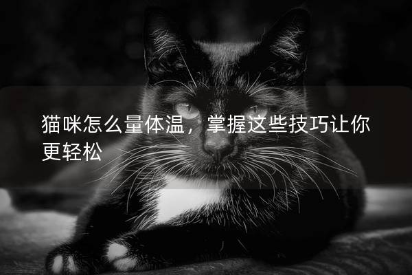 貓咪怎么量體溫，掌握這些技巧讓你更輕松