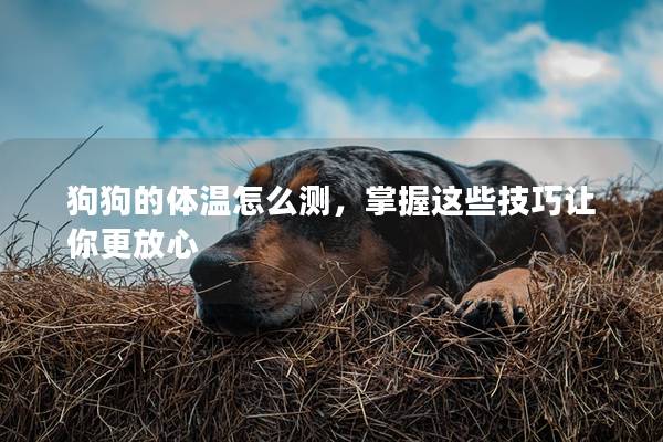 狗狗的體溫怎么測，掌握這些技巧讓你更放心