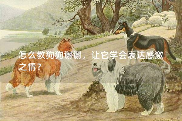 怎么教狗狗謝謝，讓它學會表達感激之情？