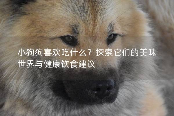 小狗狗喜歡吃什么？探索它們的美味世界與健康飲食建議