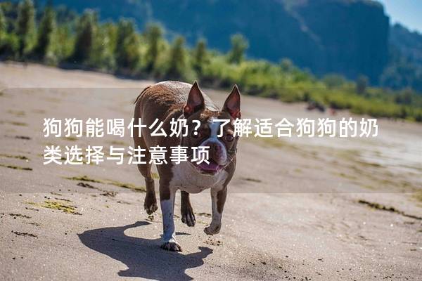 狗狗能喝什么奶?了解適合狗狗的奶類選擇與注意事項 狗狗能喝什么奶?了解適合狗狗的奶類選擇與注意事項