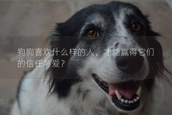 狗狗喜歡什么樣的人，才能贏得它們的信任與愛？