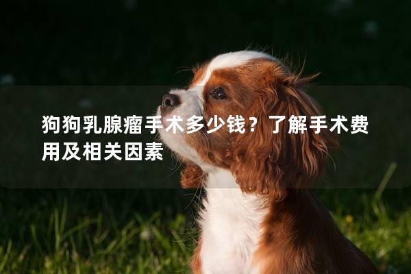 狗狗乳腺瘤手術多少錢？了解手術費用及相關因素