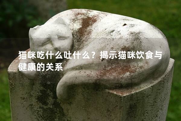 貓咪吃什么吐什么？揭示貓咪飲食與健康的關系