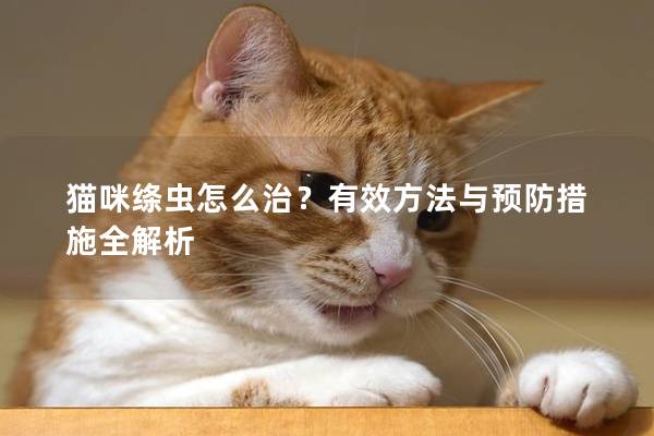 貓咪絳蟲怎么治？有效方法與預防措施全解析