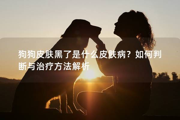 狗狗皮膚黑了是什么皮膚病？如何判斷與治療方法解析
