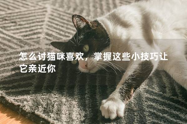 怎么討貓咪喜歡，掌握這些小技巧讓它親近你