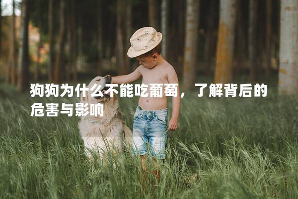 狗狗為什么不能吃葡萄，了解背后的危害與影響