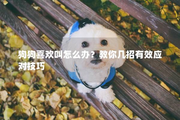 狗狗喜歡叫怎么辦？教你幾招有效應(yīng)對技巧