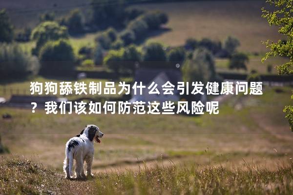 狗狗舔鐵制品為什么會引發健康問題？我們該如何防范這些風險呢
