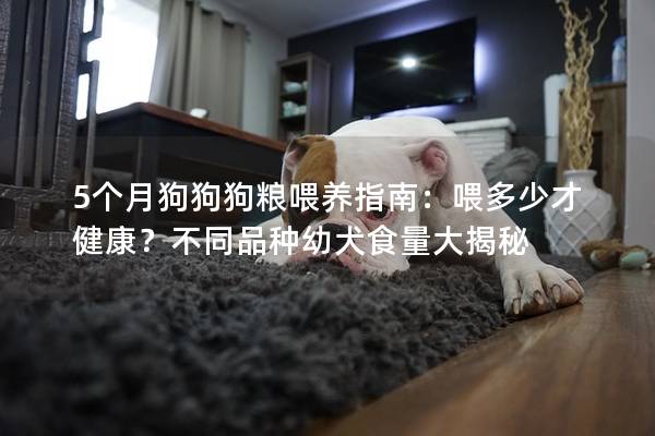 5個月狗狗狗糧喂養指南：喂多少才健康？不同品種幼犬食量大揭秘
