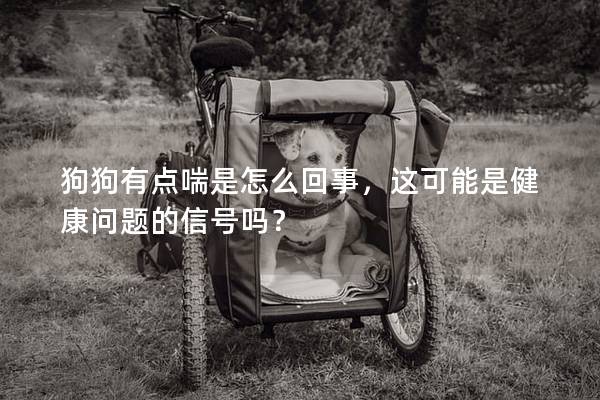 狗狗有點喘是怎么回事，這可能是健康問題的信號嗎？