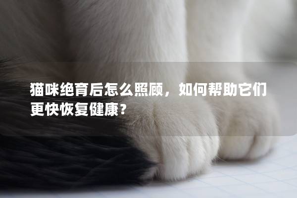 貓咪絕育后怎么照顧，如何幫助它們更快恢復健康？