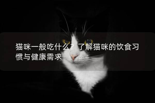 貓咪一般吃什么？了解貓咪的飲食習(xí)慣與健康需求