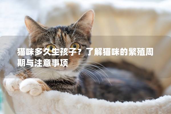 貓咪多久生孩子?了解貓咪的繁殖周期與注意事項 貓咪多久生孩子?了解貓咪的繁殖周期與注意事項