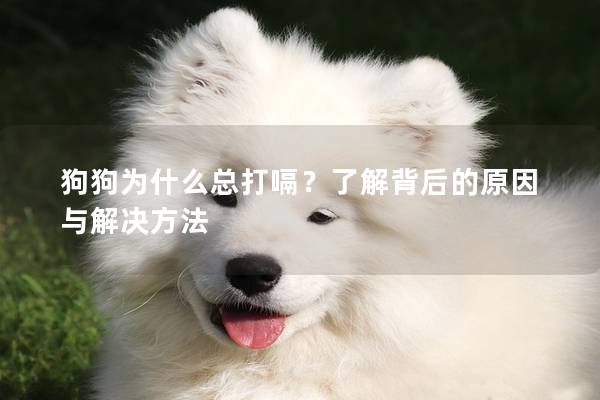 狗狗為什么總打嗝？了解背后的原因與解決方法