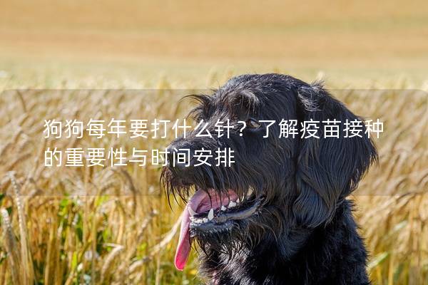 狗狗每年要打什么針？了解疫苗接種的重要性與時間安排