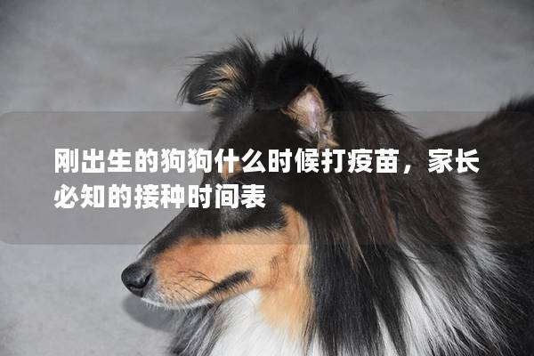 剛出生的狗狗什么時候打疫苗，家長必知的接種時間表