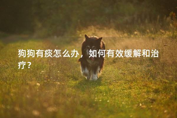 狗狗有痰怎么辦，如何有效緩解和治療？