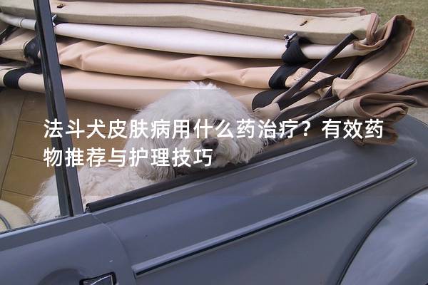 法斗犬皮膚病用什么藥治療？有效藥物推薦與護理技巧