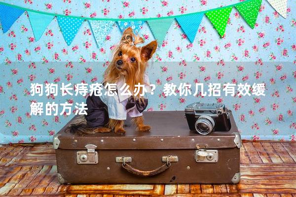 狗狗長痔瘡怎么辦？教你幾招有效緩解的方法